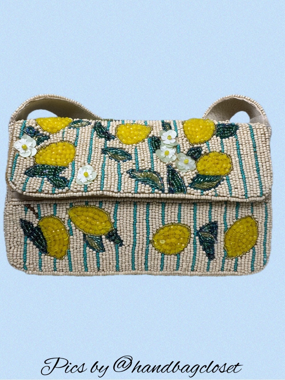 🍋 TikTok Viral Beaded Bag Lemons Made in India 🍋 - Picture 2 of 16